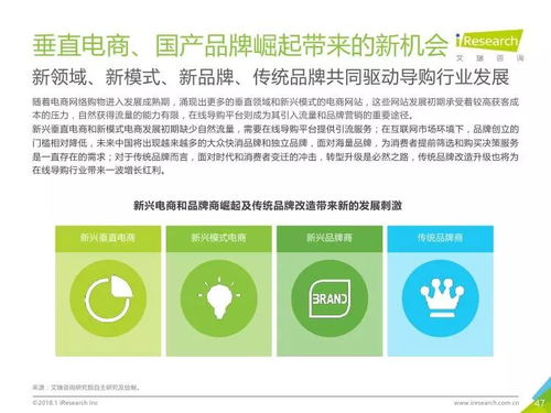 2018年中国在线导购行业研究报告简版 商品信息咨询服务的崛起与演进